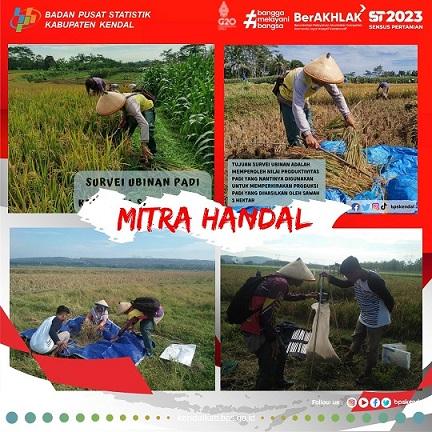 Sepak Terjang Mitra Handal di Sawah