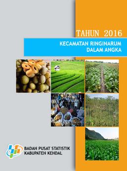 Kecamatan Ringinarum Dalam Angka 2016