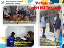 Penyisiran Survei IBS Tahunan 