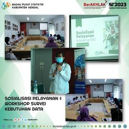 Sosialisasi Pelayanan dan Workshop Survei Kebutuhan Data