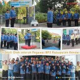 BPS KENDAL REGENCY MORNING APPLE