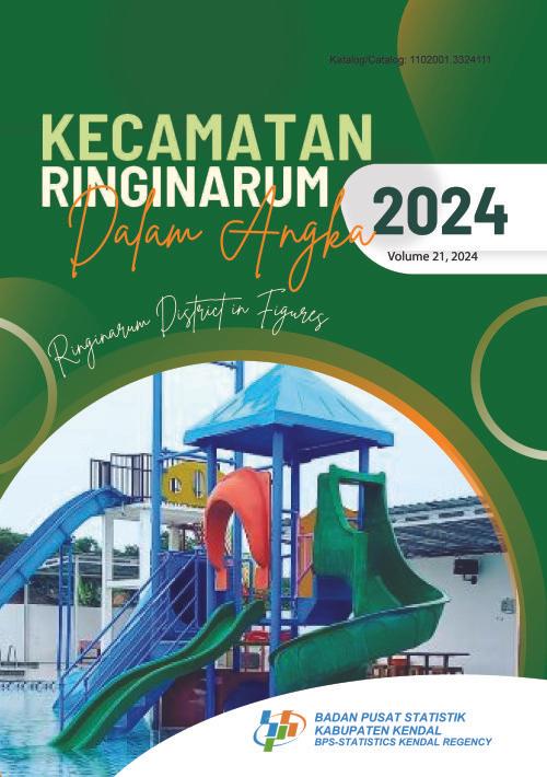 Ringinarum District in Figures 2024