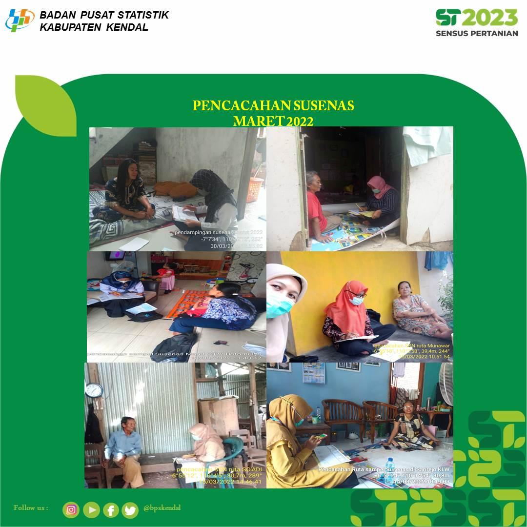 Pencacahan Susenas Maret 2022