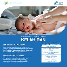 Mencatat Data Kelahiran 