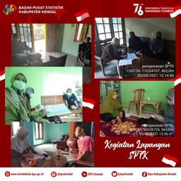 Survei Pengukuran Tingkat Kebahagiaan (SPTK)