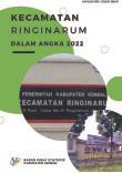 Kecamatan Ringinarum Dalam Angka 2022