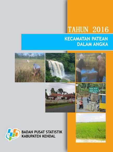 Patean Subdistricts in Figures 2016