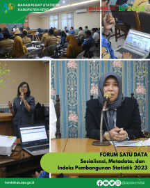 Sosialisasi Romantik, Metadata Dan Indeks Pembangunan Statistik