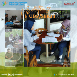 Updating Direktori Usaha/Perusahaan Ekonomi UDP-SBR24