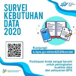 Survei Kebutuhan Data 2020