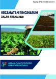 Kecamatan Ringinarum Dalam Angka 2020